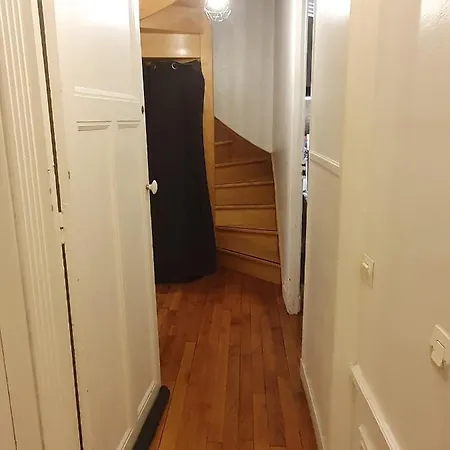 Amazing Big Flat In Champs-elysees Paris