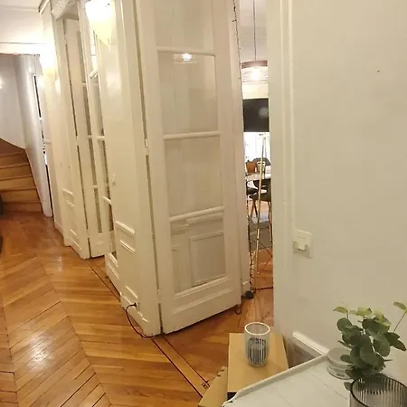 Amazing Big Flat In Champs-elysees