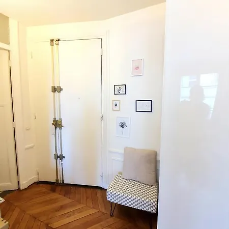 Amazing Big Flat In Champs-elysees * Paris