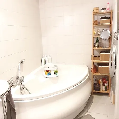 Apartment Amazing Big Flat In Champs-elysees Paris