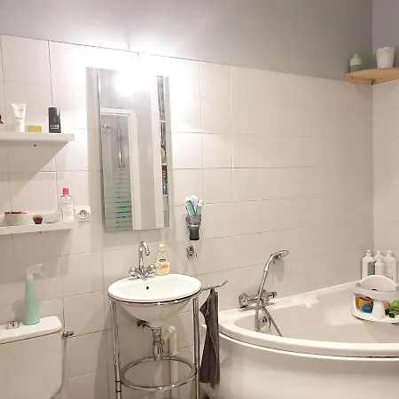 Amazing Big Flat In Champs-elysees Apartment *