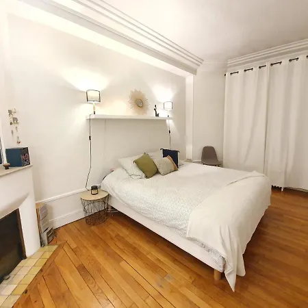 Amazing Big Flat In Champs-elysees Paris