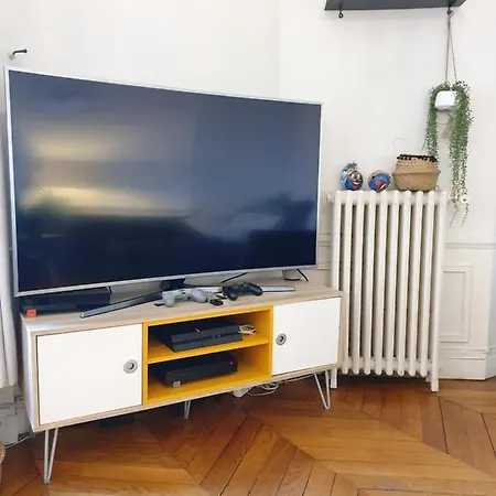 Amazing Big Flat In Champs-elysees