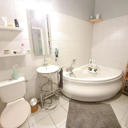 Amazing Big Flat In Champs-elysees Paris