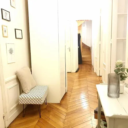 Amazing Big Flat In Champs-elysees Paris