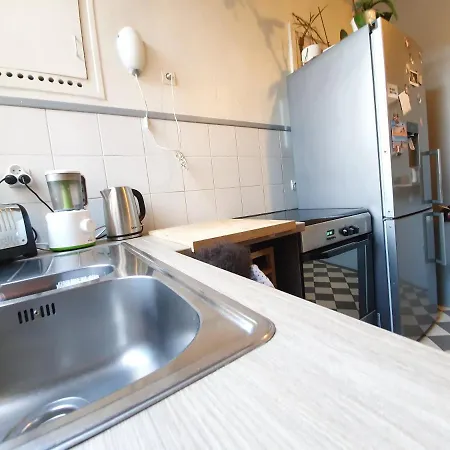 Amazing Big Flat In Champs-elysees