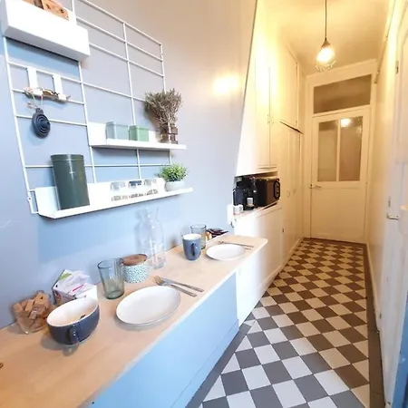 Amazing Big Flat In Champs-elysees Paris
