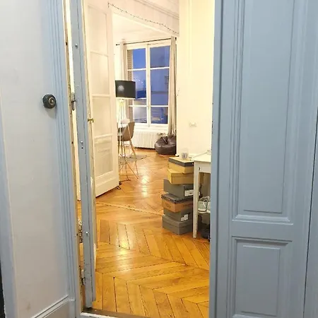 Amazing Big Flat In Champs-elysees Paris