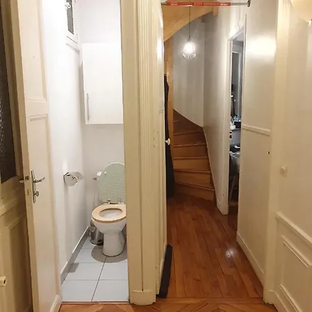 Amazing Big Flat In Champs-elysees
